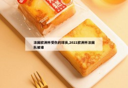 法国欧洲杯受伤的球员,2021欧洲杯法国队被谁