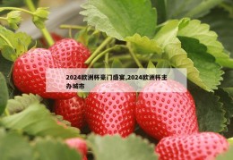 2024欧洲杯豪门盛宴,2024欧洲杯主办城市