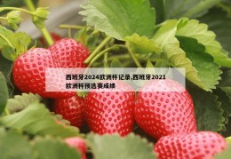 西班牙2024欧洲杯记录,西班牙2021欧洲杯预选赛成绩