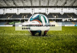 2024欧洲杯几号结束的,2024欧洲杯主办城市