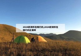 2024欧洲杯在哪打的,2024欧洲杯在哪打的比赛啊