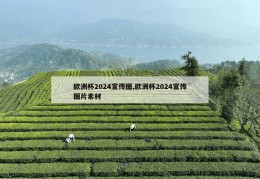 欧洲杯2024宣传图,欧洲杯2024宣传图片素材