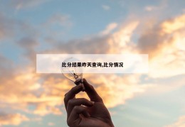 比分结果昨天查询,比分情况