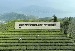 欧洲杯对阵场地安排,欧洲杯对阵流程图2021