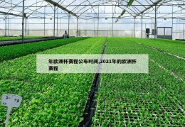 年欧洲杯赛程公布时间,2021年的欧洲杯赛程