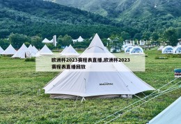 欧洲杯2023赛程表直播,欧洲杯2023赛程表直播回放