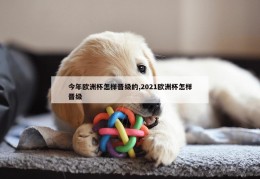 今年欧洲杯怎样晋级的,2021欧洲杯怎样晋级