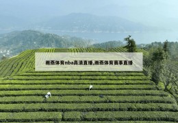 雨燕体育nba高清直播,雨燕体育赛事直播