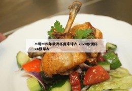 二零二四年欧洲杯国家球衣,2020欧洲杯24强球衣