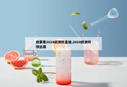 我要看2024欧洲杯直播,2024欧洲杯预选赛