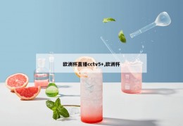 欧洲杯直播cctv5+,欧洲杯