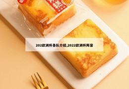 202欧洲杯各队介绍,2022欧洲杯阵容