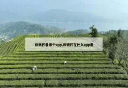 欧洲杯看哪个app,欧洲杯在什么app看