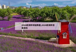 2024欧洲杯球迷数量,2024欧洲杯百度百科