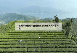 欧洲杯决赛文字直播回放,欧洲杯决赛文字实况