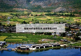 鲁能2005全年比分,山东鲁能2005