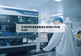 足球欧洲杯抽签结果查询,欧洲杯2020抽签仪式